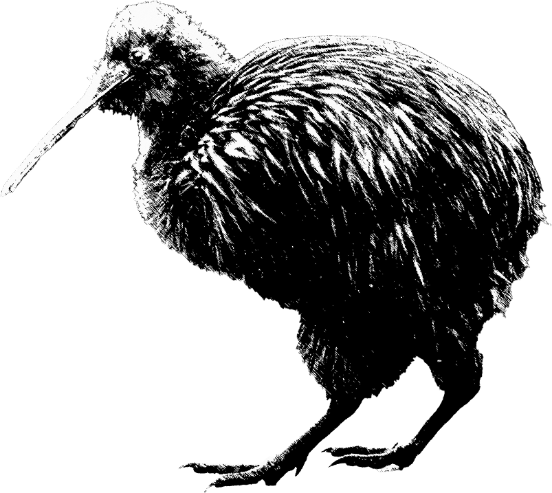 Kiwi
